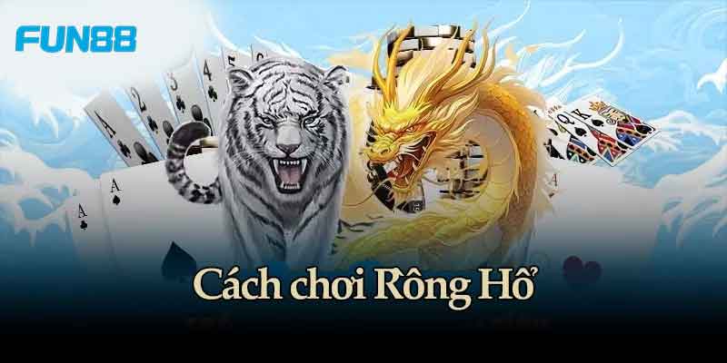 Cách chơi rồng hổ hiệu quả nhất